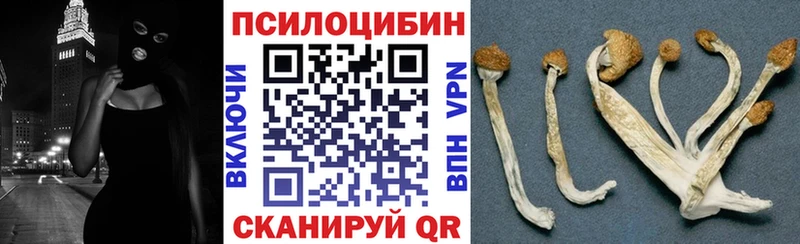 Купить  Приморско-Ахтарск  Галлюциногенные грибы Psilocybine cubensis 