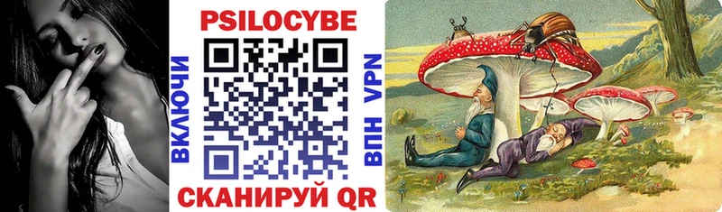 Галлюциногенные грибы GOLDEN TEACHER Приморско-Ахтарск